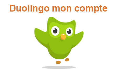 Se connecter à son compte Duolingo