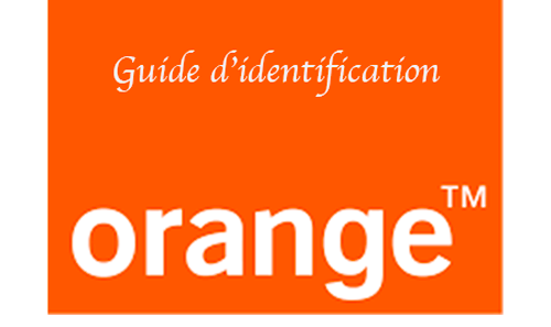 Identification en ligne Orange Cameroun